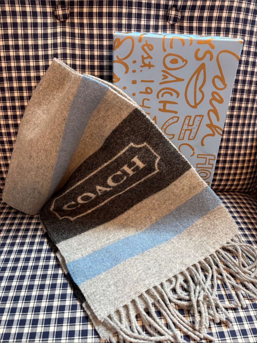 Coach Striped Wool cashmereBlend Scarf in Gray, Blue and Black